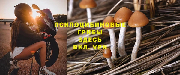крисы Богданович