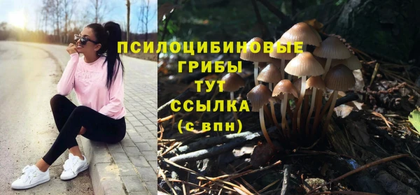 крисы Богданович