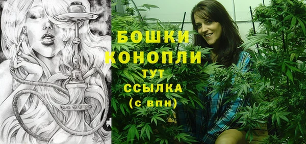сатива Белокуриха