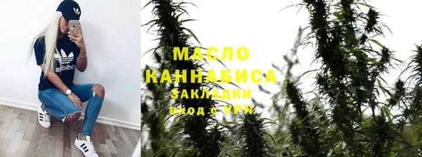 spice Богородск