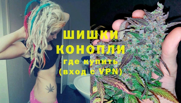 крисы Богданович