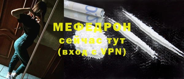 spice Богородск