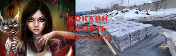 spice Богородск