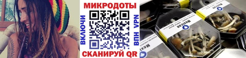 Галлюциногенные грибы MAGIC MUSHROOMS  что такое наркотик  Будённовск 